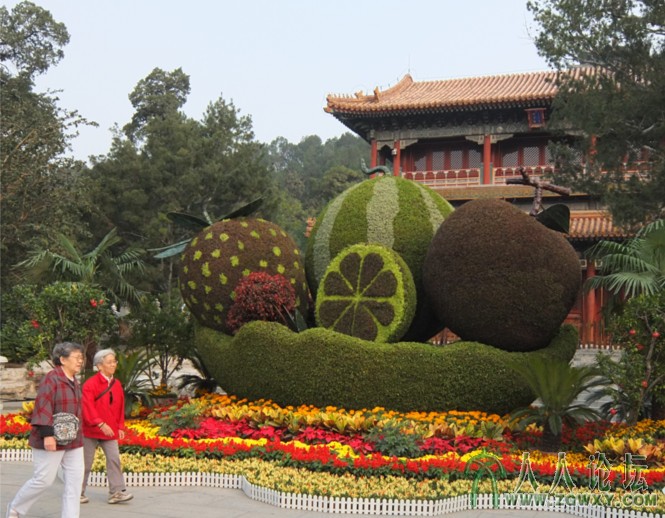 景山公园。花艺：水果造型.jpg