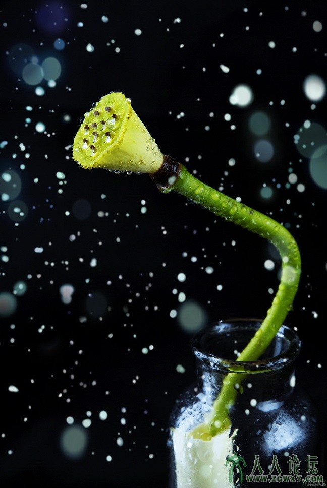 yuxiangshang 那份美不曾被花瓣带走.jpg