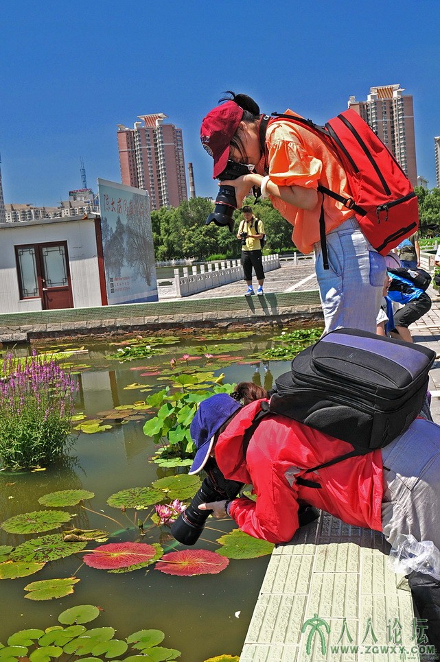 龙行天下 《聚焦美的人》.jpg