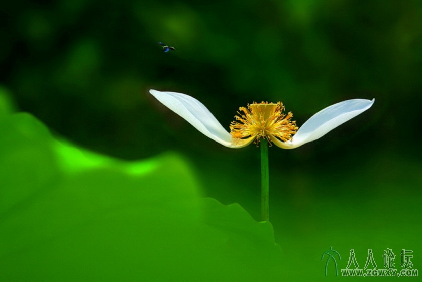 吴立军 wulj0522@126.com两袖清风.jpg