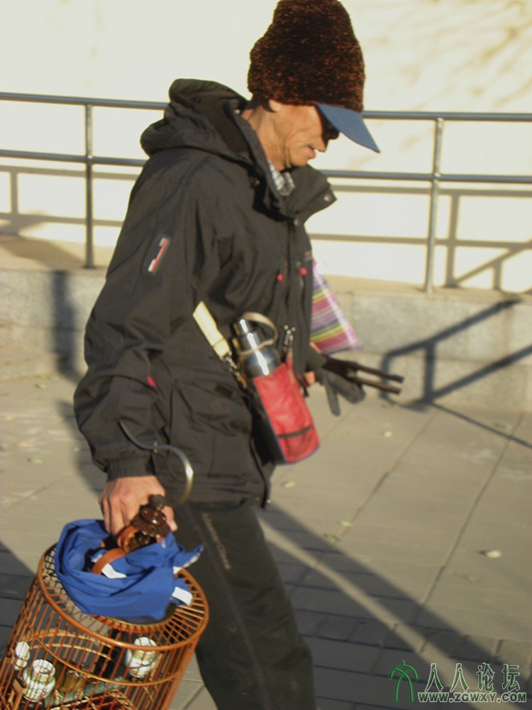 The bird man in the city 都市养鸟人.jpg