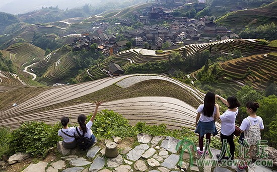 龙脊梯田 (1).jpg