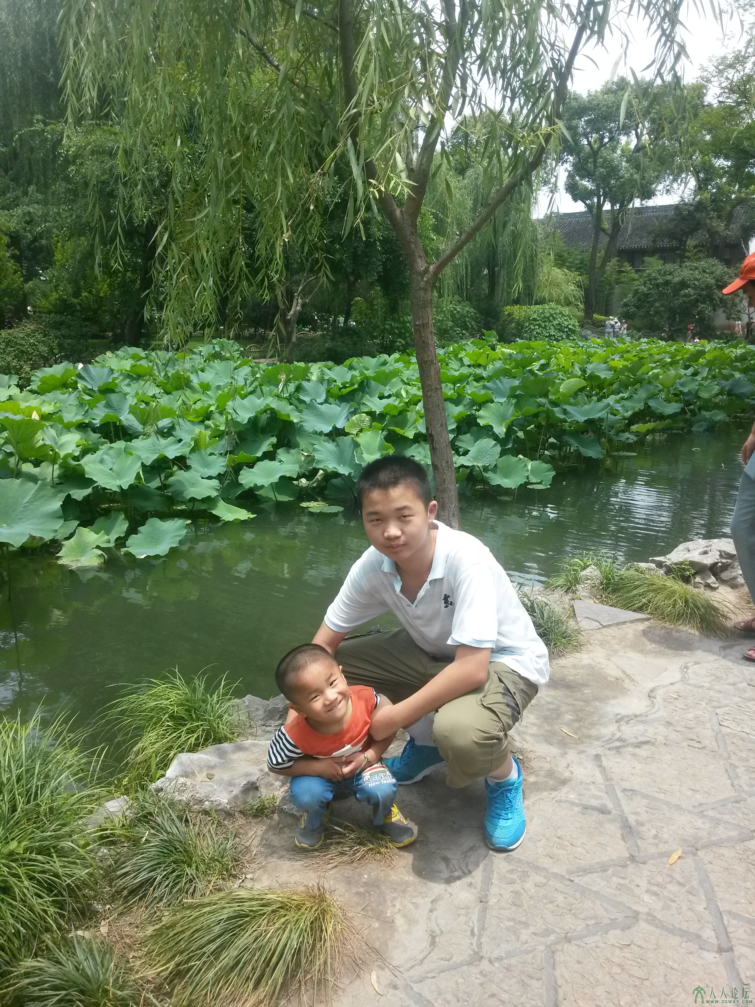 荷花近 绰约多姿水中仙，粼波叠翠香远溢。 碎雨露荷荡涟漪，莲蓬树影辉相印。 静坐亭中思友人，一眼看遍池  ...