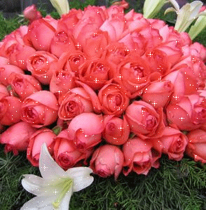 QQ图片20150310172623.gif