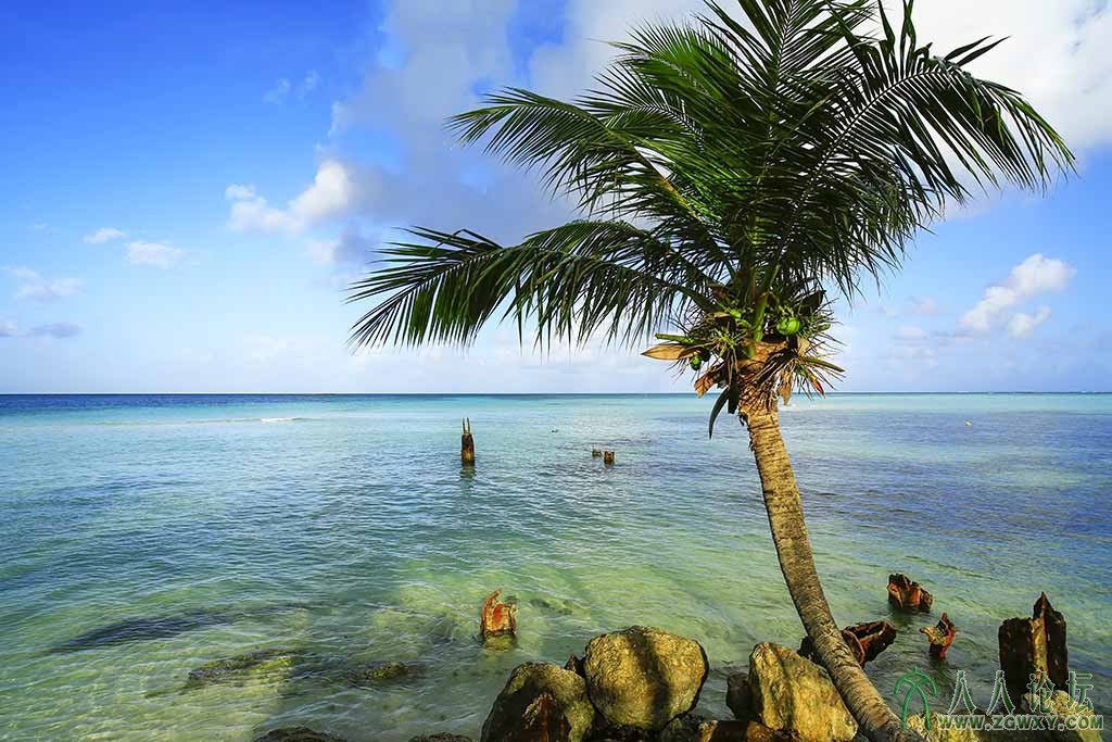 FIESTA海景 (241).jpg