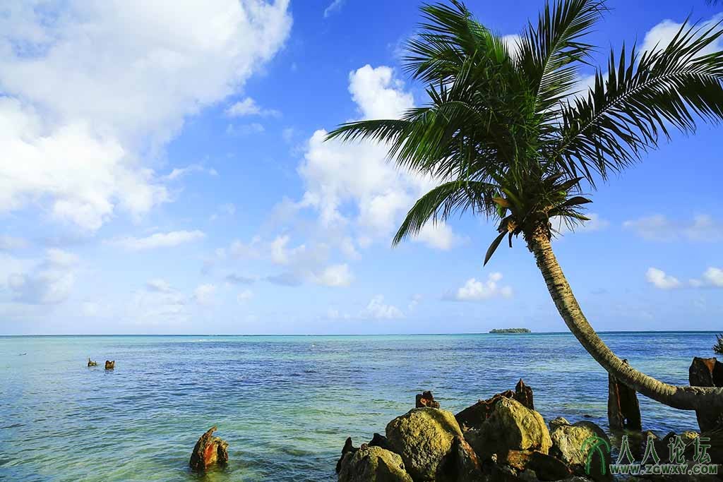 FIESTA海景 (246).jpg