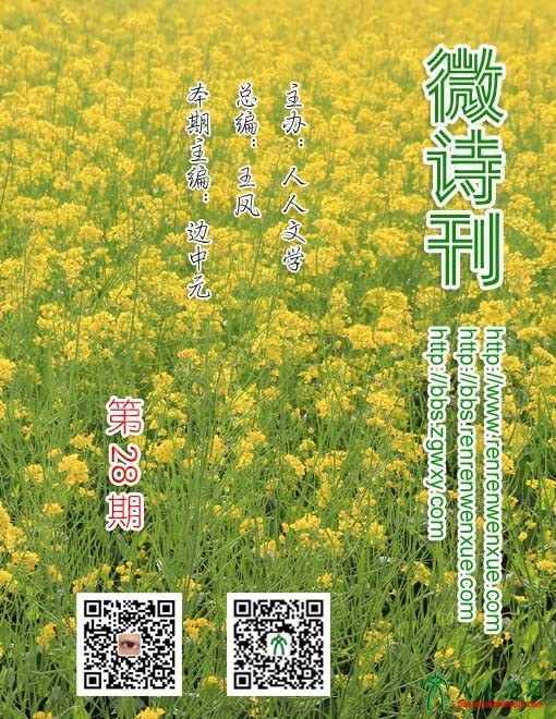 第28期.jpg