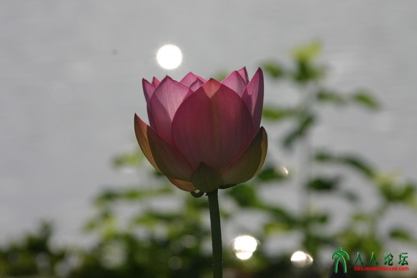 IMG_8409.JPG