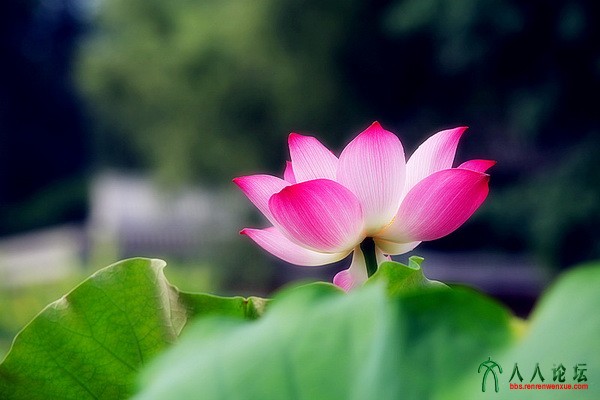 06.昭君出塞.摄影.李碧.jpg