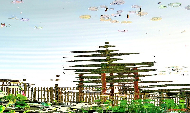 微风，水中倒影。