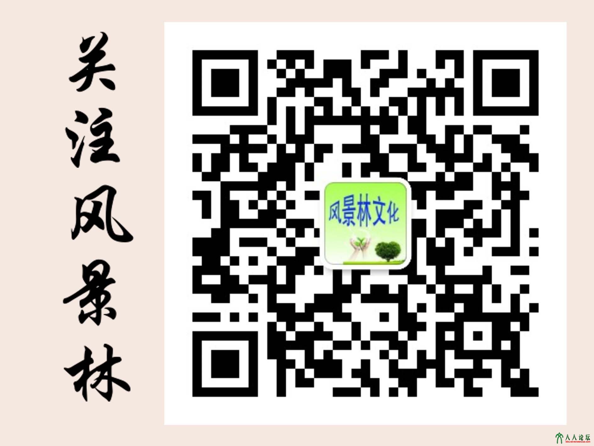 2风景林文化订阅号二维码1.jpg