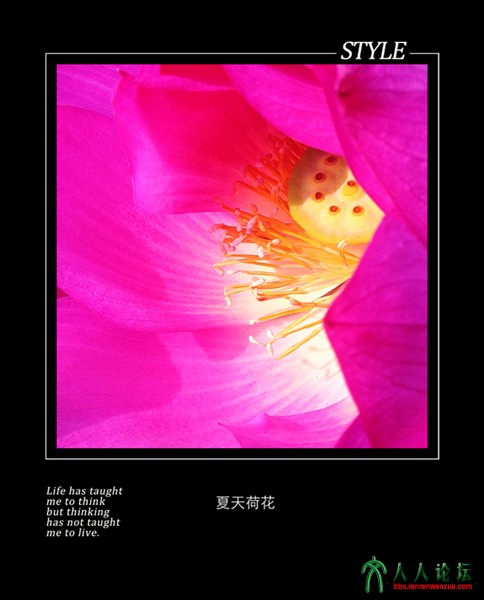 娇艳