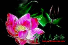 IMG_0178 副本23_副本23.jpg