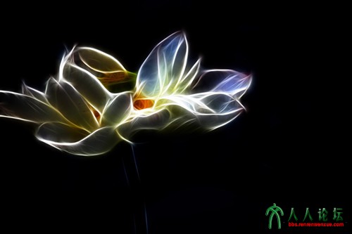 IMG_0194 副本23_副本.jpg