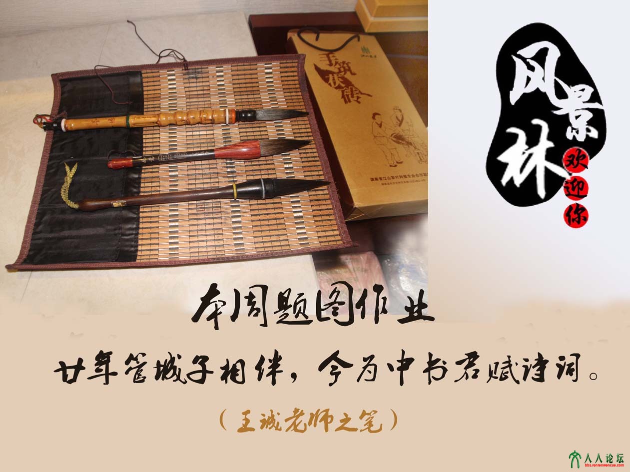王诚老师的笔.jpg