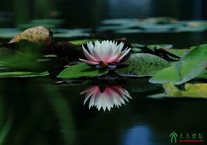 漂浮.jpg