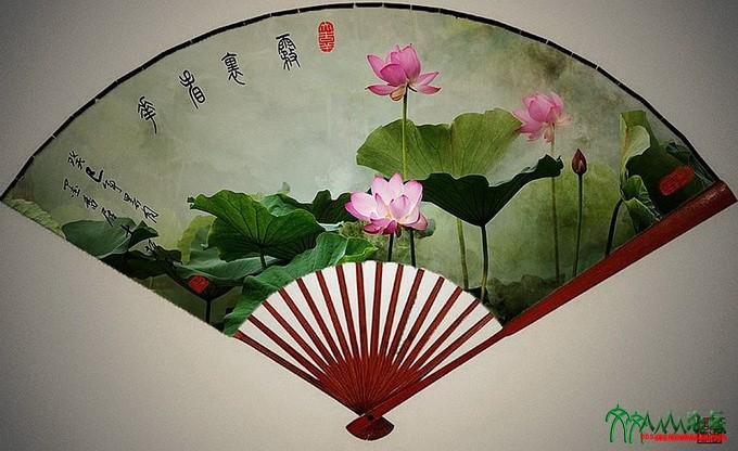 _MG_4236雾里看花 (1).jpg