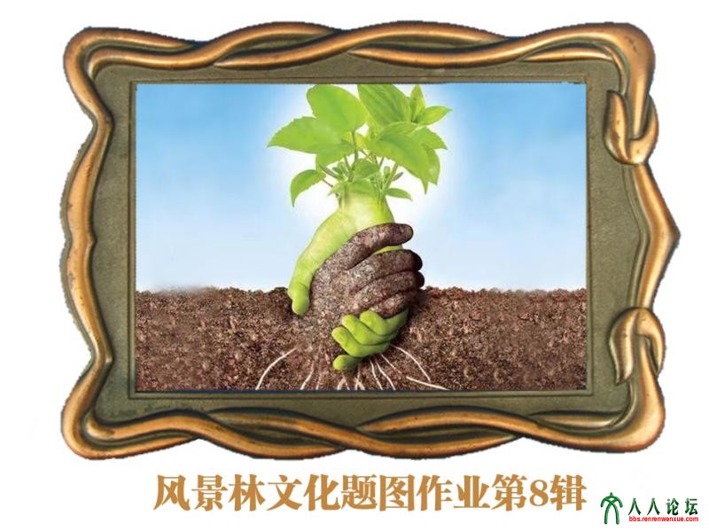 【看图写诗】生命，在成熟中实现价值