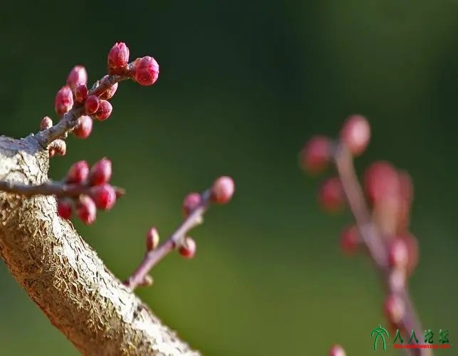 u=1416997252,1953805724&amp;fm=253&amp;fmt=auto&amp;app=138&amp;f=JPEG.webp.jpg