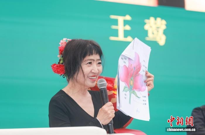 剪辑_253.jpg